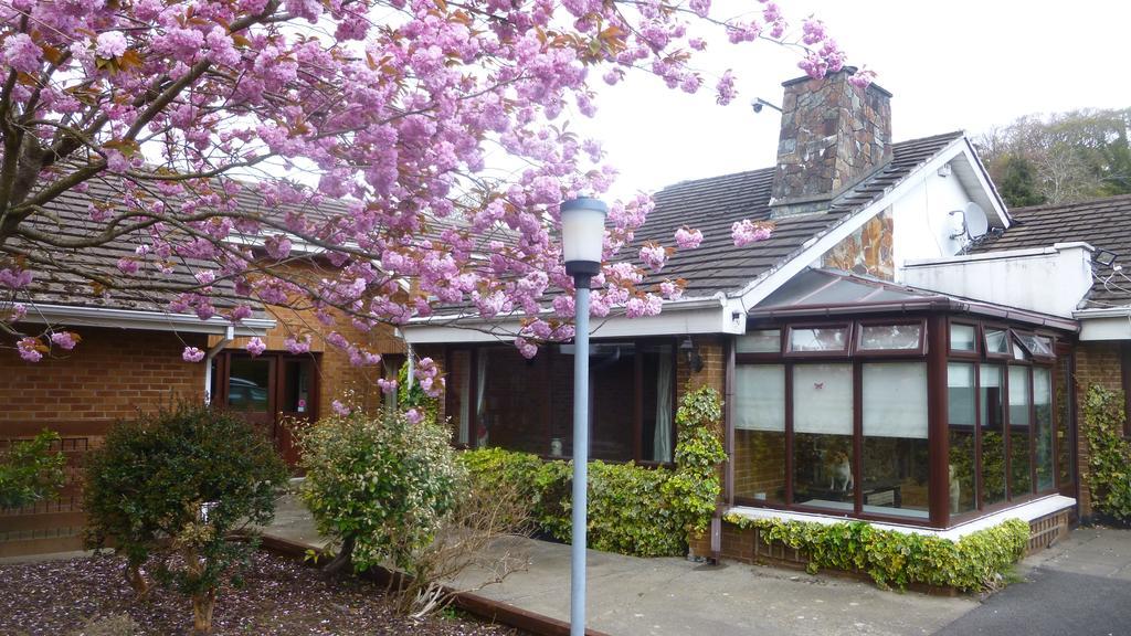 Woodville B&B Bray Exteriér fotografie